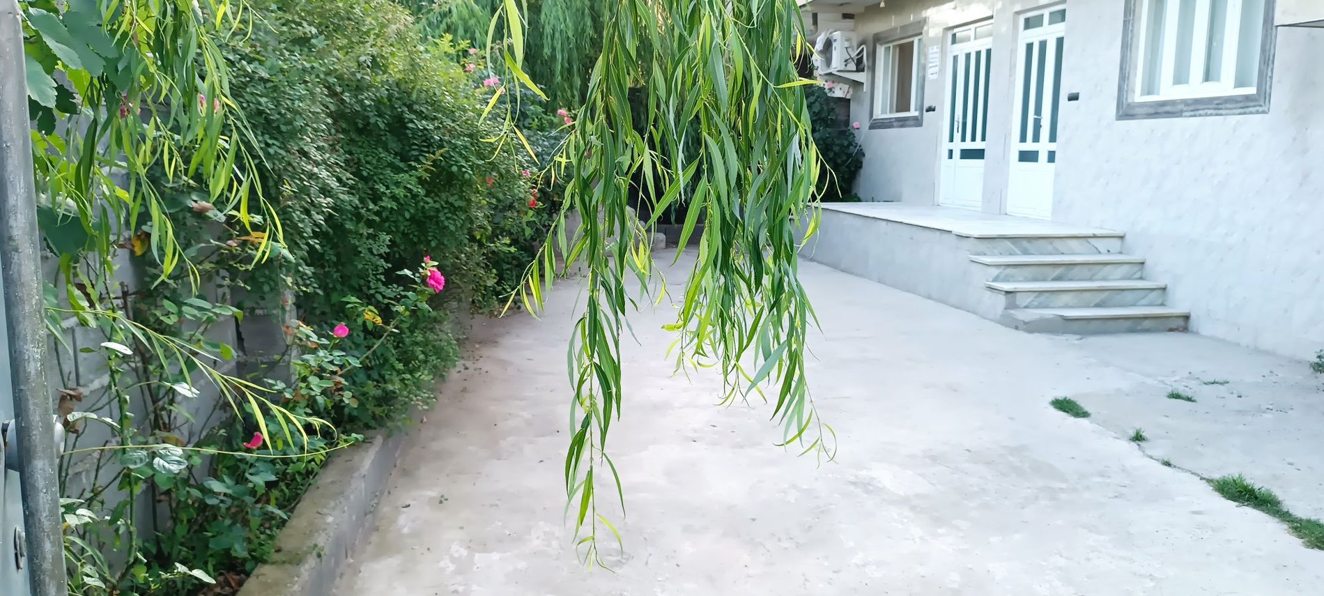 ویلا دوخوابه جنگلی آراز
