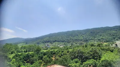 بومگردی نارنجستان شهسوار - واحد ترنج