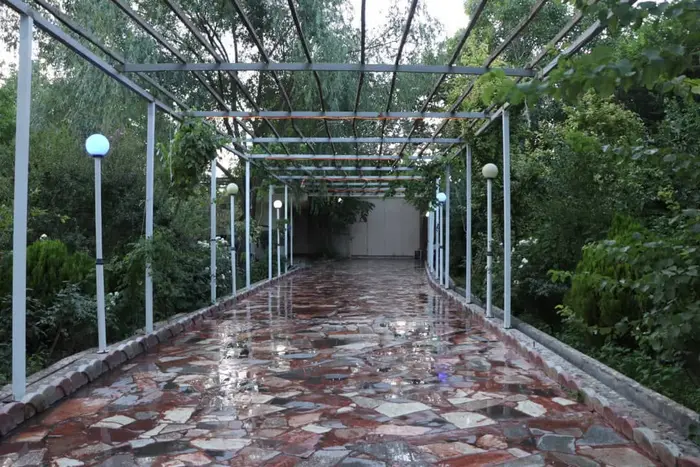 دوخوابه جنگلی رویال 2