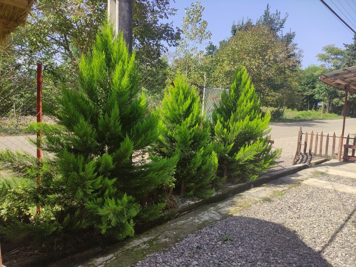 ویلا ویلای وارش 