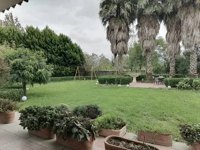 ویلا دوخوابه روستایی نخل