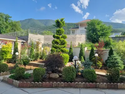 ویلا سه خوابه جنگلی شاهد