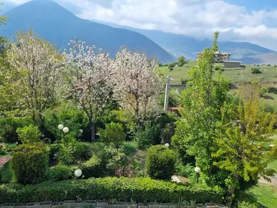 ویلا دو خوابه جنگلی بام اجابیت