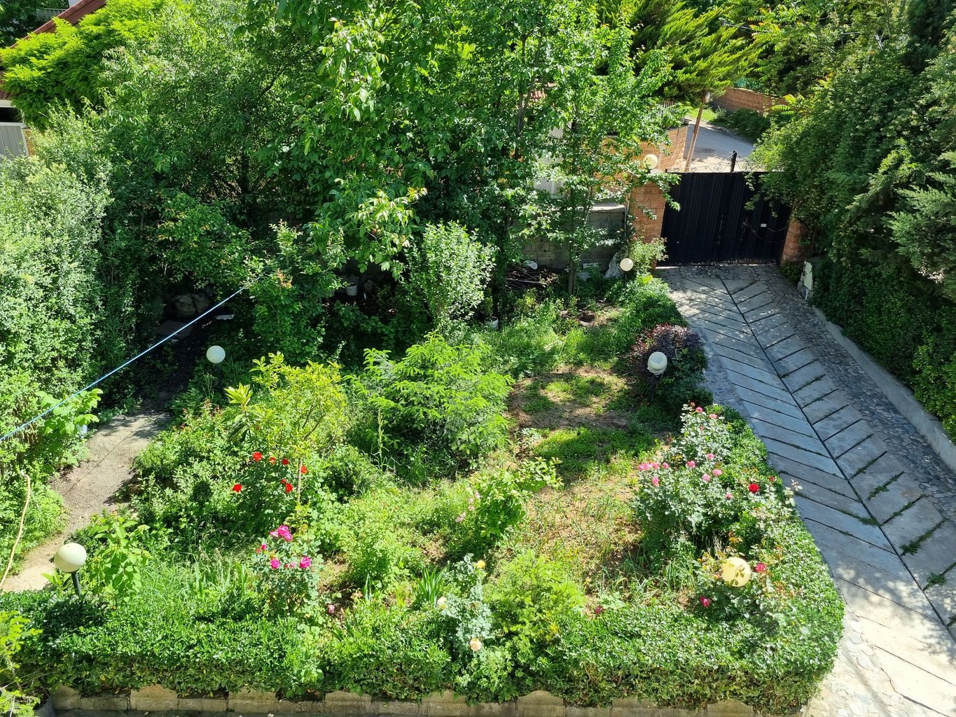 دوخوابه جنگلی شاهد ۲۲