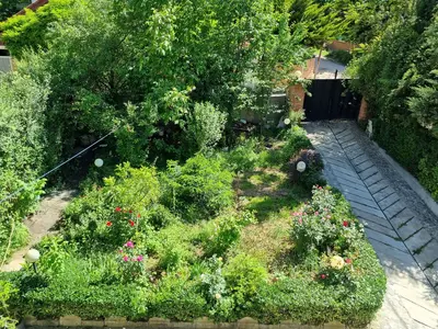 ویلا دوخوابه جنگلی شاهد ۲۲