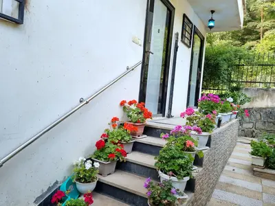 ویلا دوخوابه جنگلی بام نصیری 1