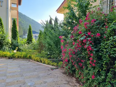 ویلا دوخوابه جنگلی بام نصیری 1