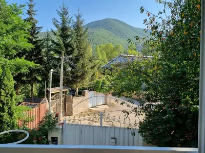 ویلا دوخوابه جنگلی معین 1