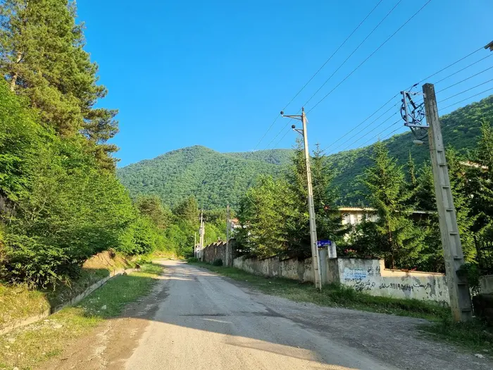 ویلا دوخوابه جنگلی بام نصیری 2