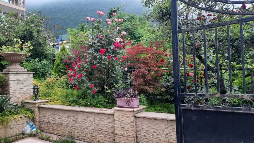 سه خوابه دوبلکس جنگلی بام نصیری