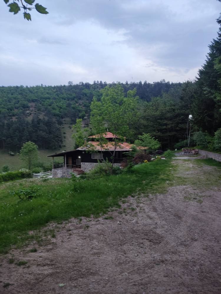 کلبه دوخوابه جنگلی بام اجابیت 2