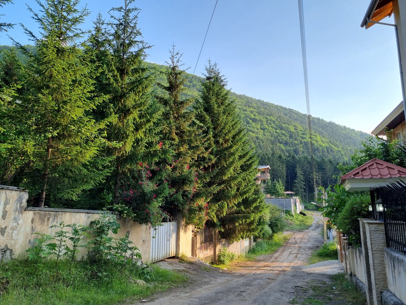 ویلا دوخوابه جنگلی بام نصیری 2