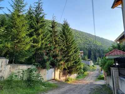 ویلا دوخوابه جنگلی بام نصیری 2