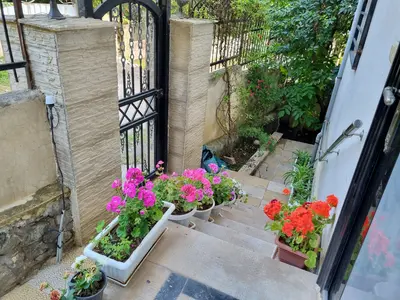 ویلا دوخوابه جنگلی بام نصیری 2