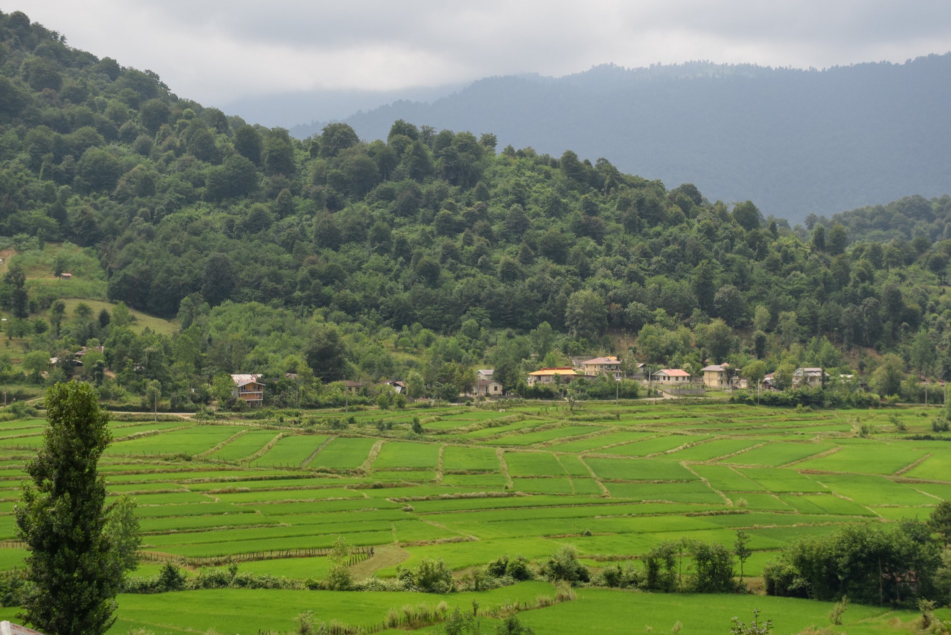 دوخوابه  بهشت