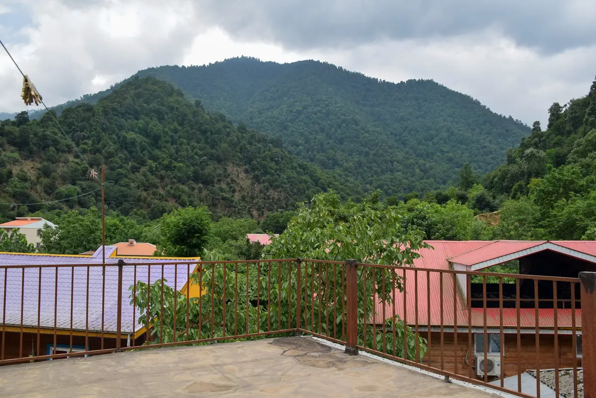 سوئیت فلت جنگلی کورش - ویو بام