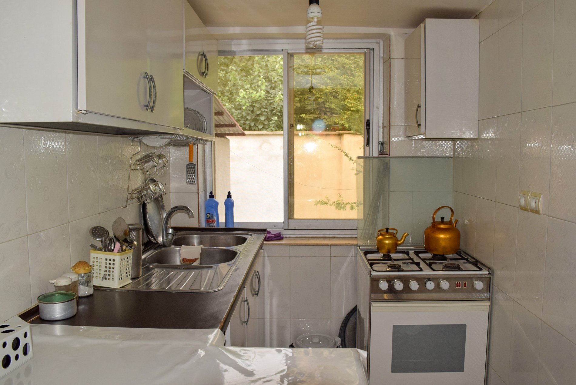 فلت جنگلی گنجه