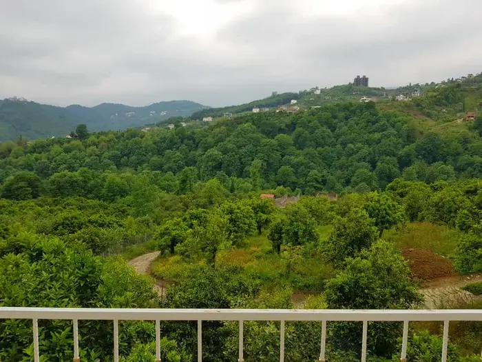 آپارتمان دوخوابه جنگلی سعادت