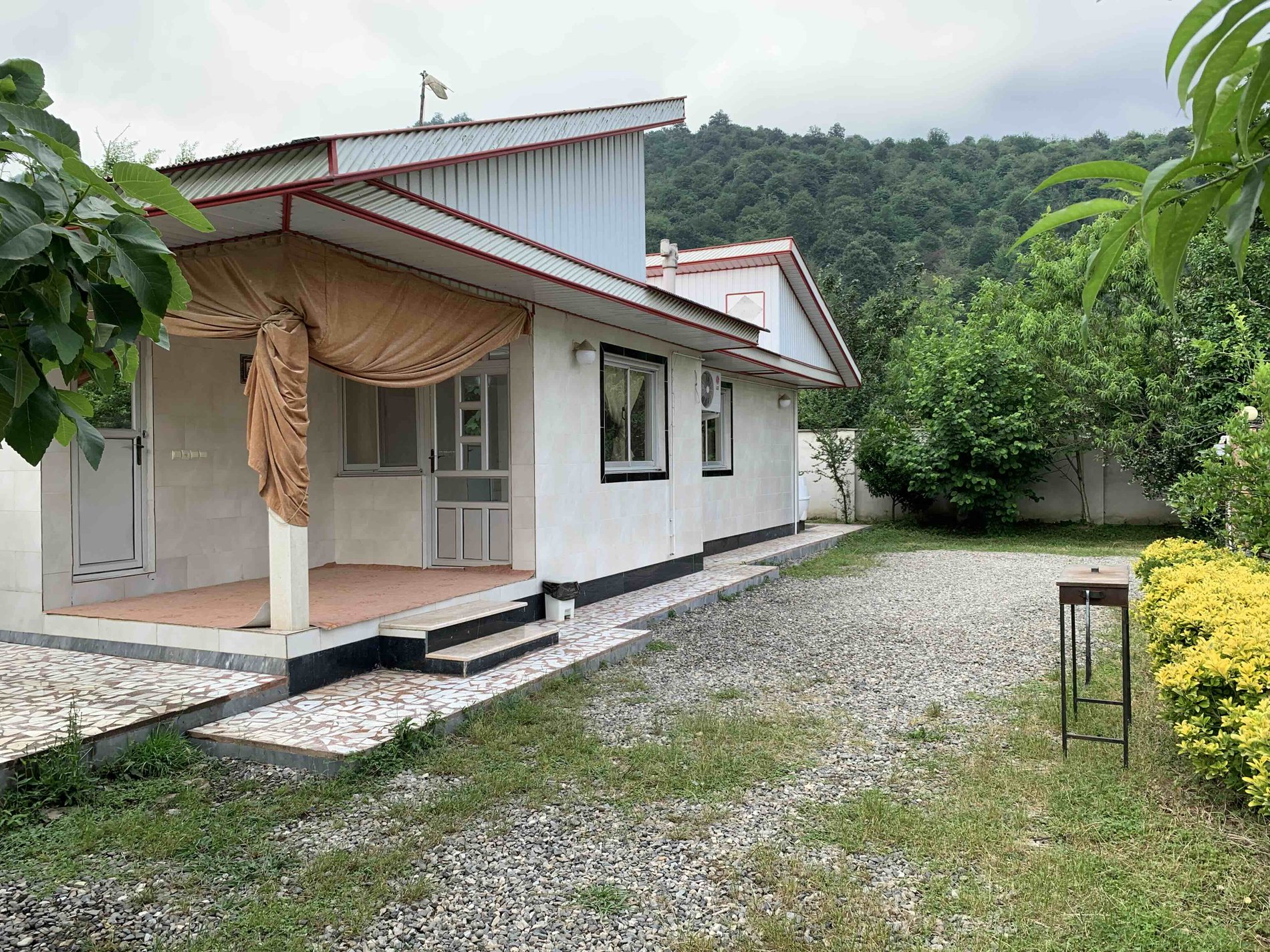 فلت جنگلی گنجه