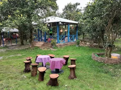 بومگردی مشتی حسن - واحد طلعت 4