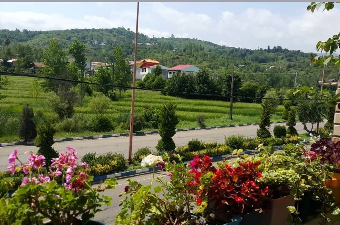 سوئیت یک خوابه خانه سبز 7