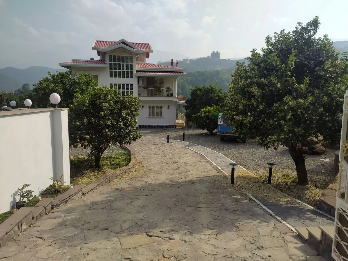 آپارتمان دوخوابه جنگلی سعادت - حیاط