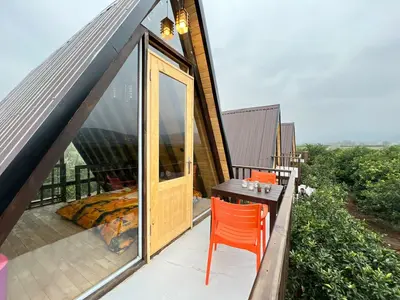 کلبه یک خوابه جنگلی تیامو سورپرایز