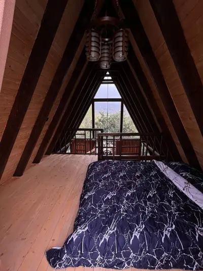 کلبه یک خوابه جنگلی تیامو سورپرایز