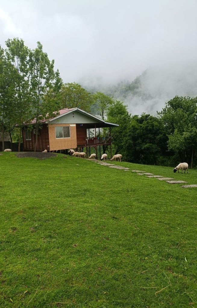 یک خوابه جنگلی بهار 3