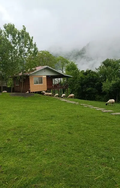 کلبه یک خوابه جنگلی بهار 3