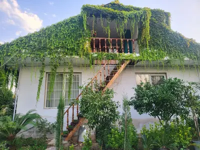 سوئیت یک خوابه بوئین