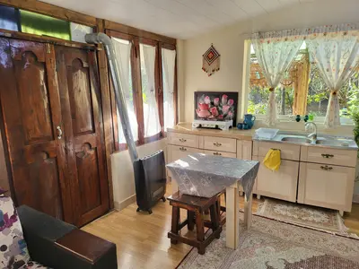 کلبه فلت روستایی یاس