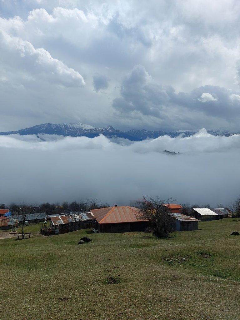 یک خوابه شیوایی