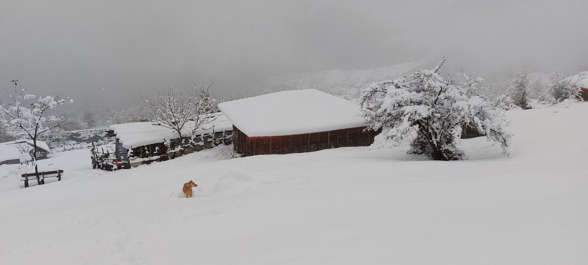 یک خوابه شیوایی