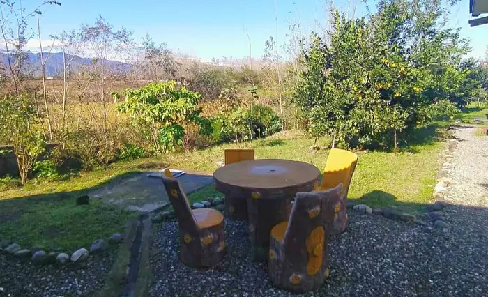 ویلا یک خواب ساحل دریا ۱ - حیاط