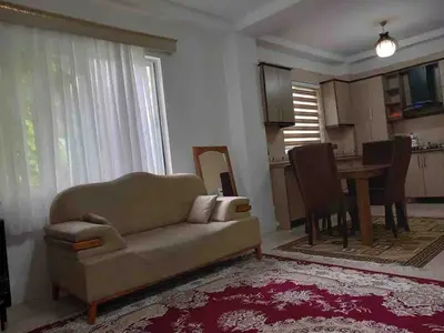 آپارتمان یک خوابه جنگلی نورسر