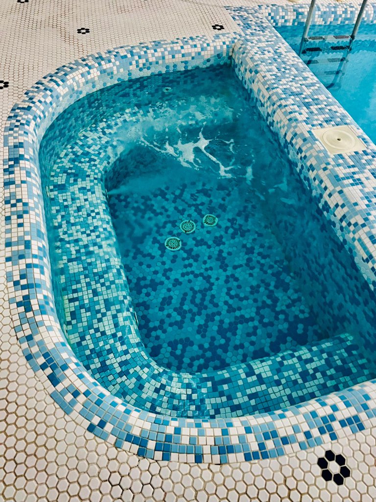 ویلا سه خوابه استخردار آبگرم نَمیر