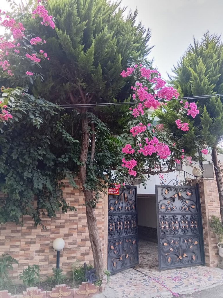 ویلا دوخوابه آرام 8