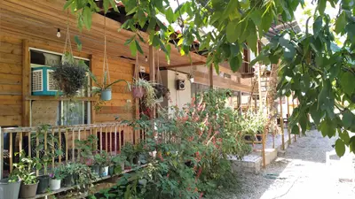 بومگردی نجاتی - واحد 3