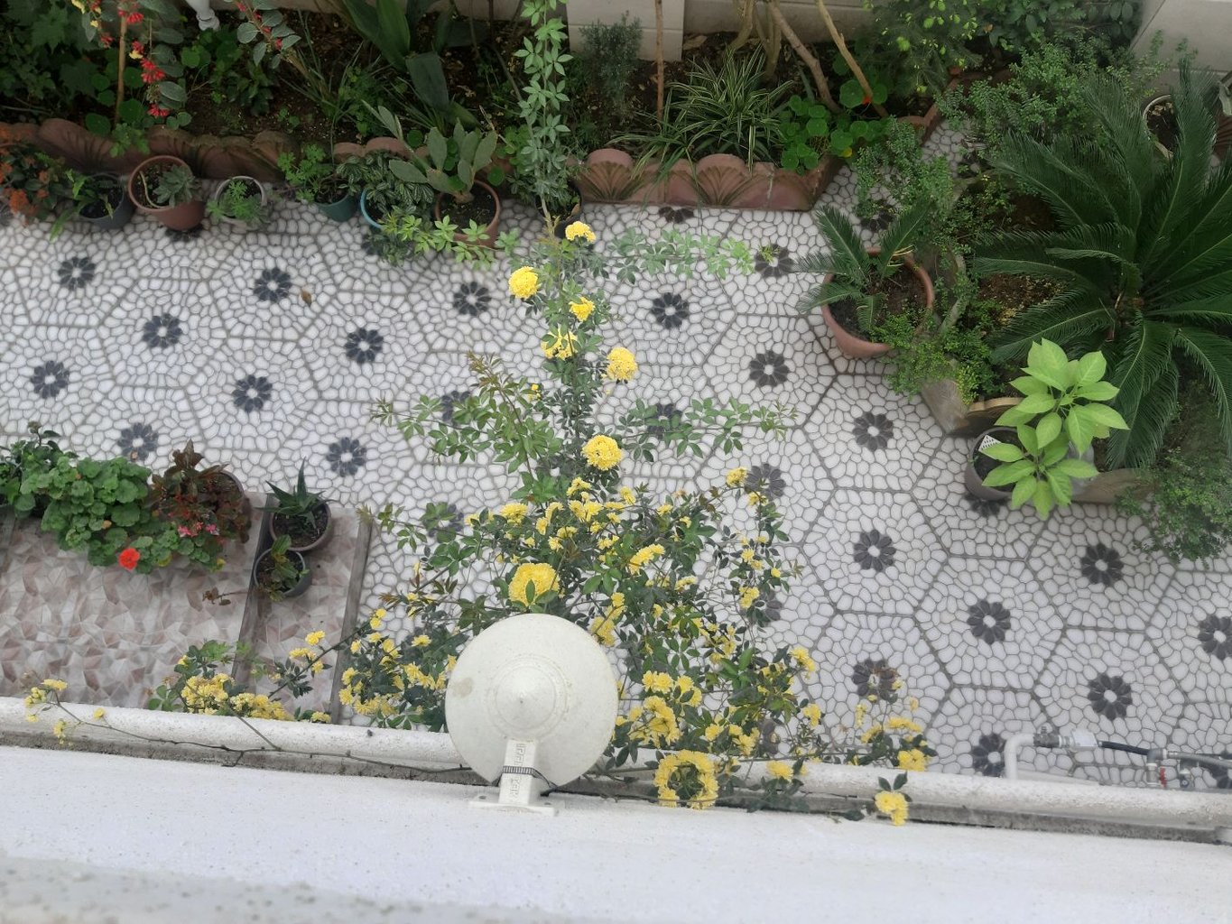 آپارتمان یک خوابه گیلدا