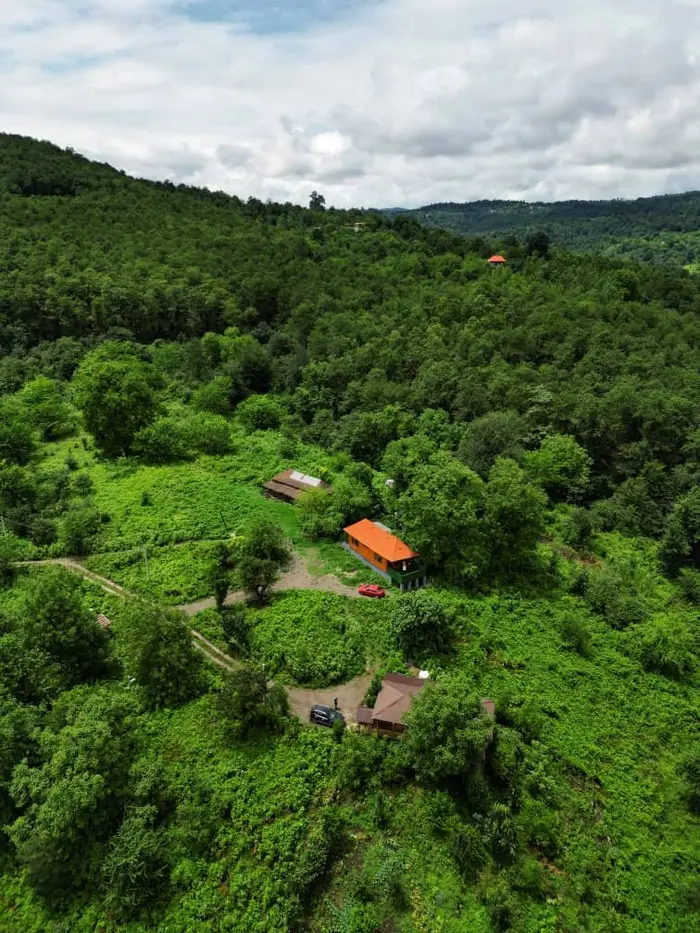 کلبه فلت میها -   