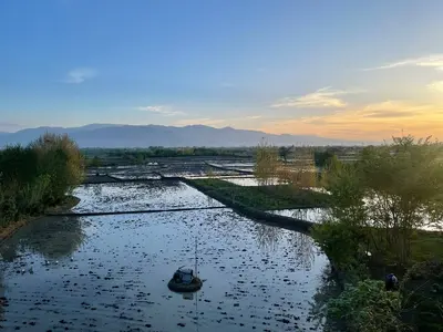 بومگردی عمارت مریم بانو - واحد رابشکن