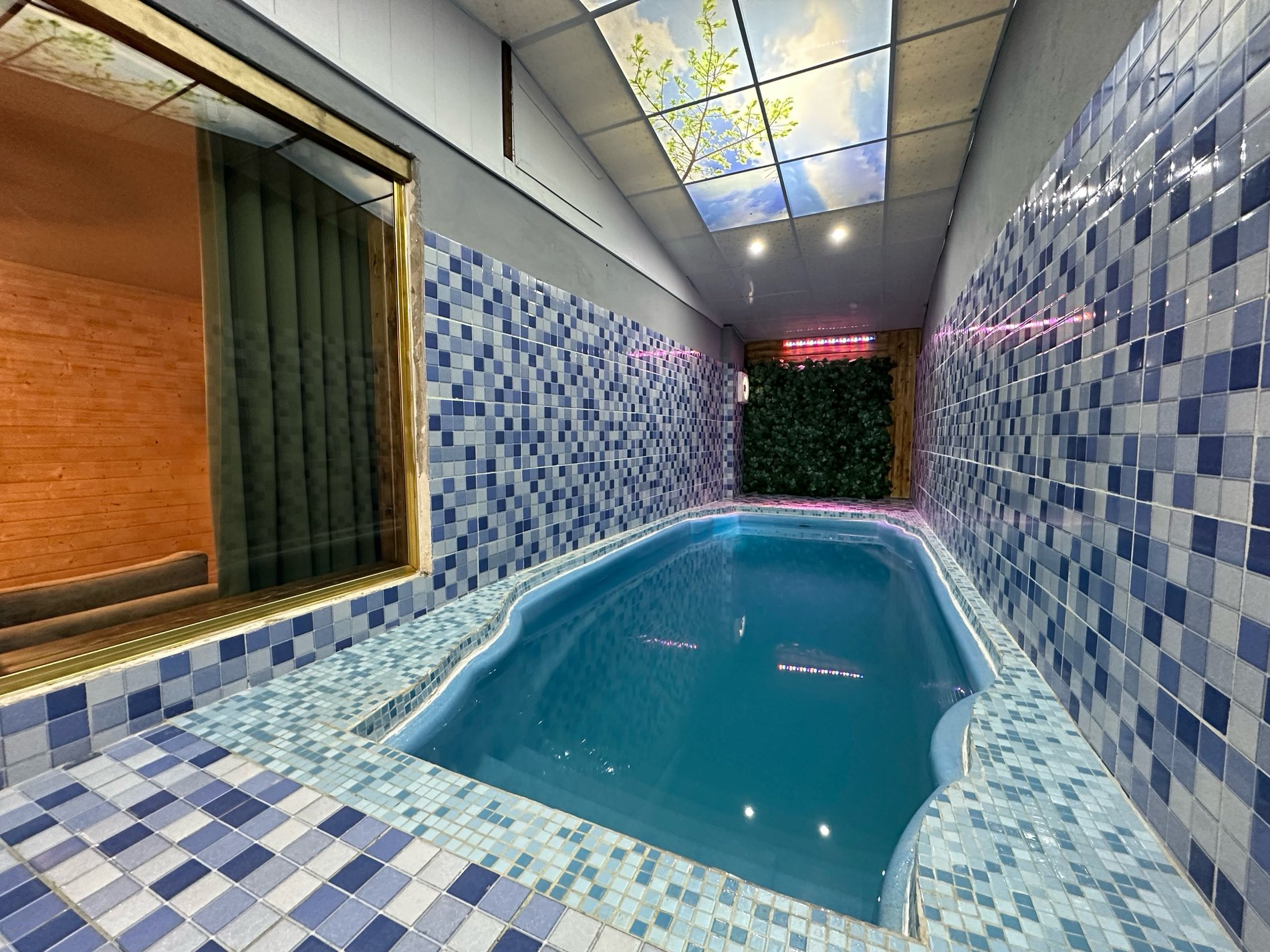 یک خوابه استخردار آبگرم نخل