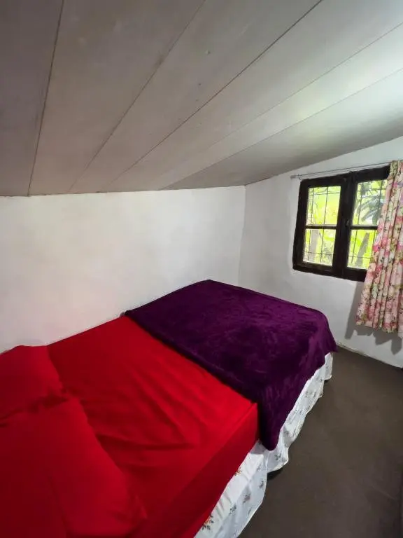 کلبه یک خوابه جنگلی بیژن