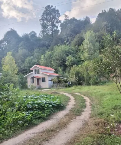 ویلا دوخوابه جنگلی دلیلی 1