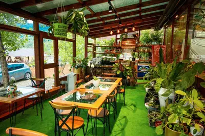 بومگردی یارا - واحد صنوبر