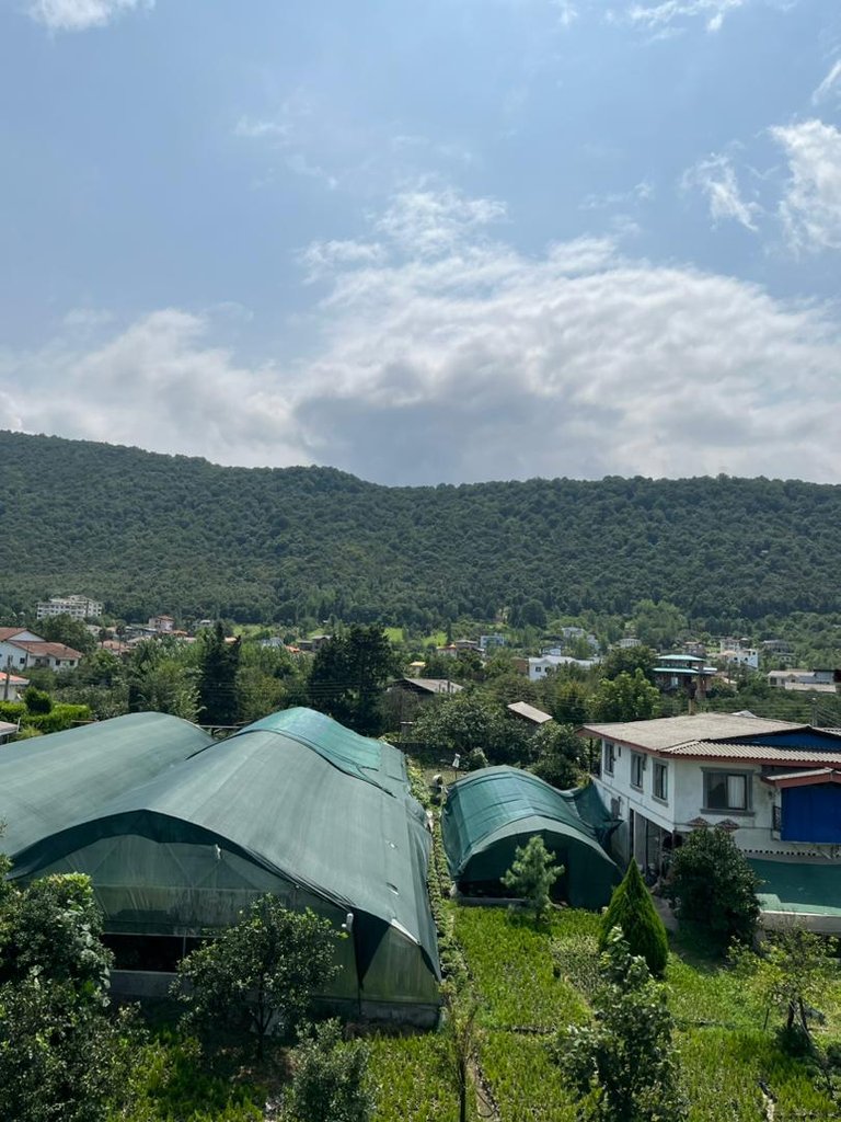 آپارتمان دوخوابه جنگلی ذوات