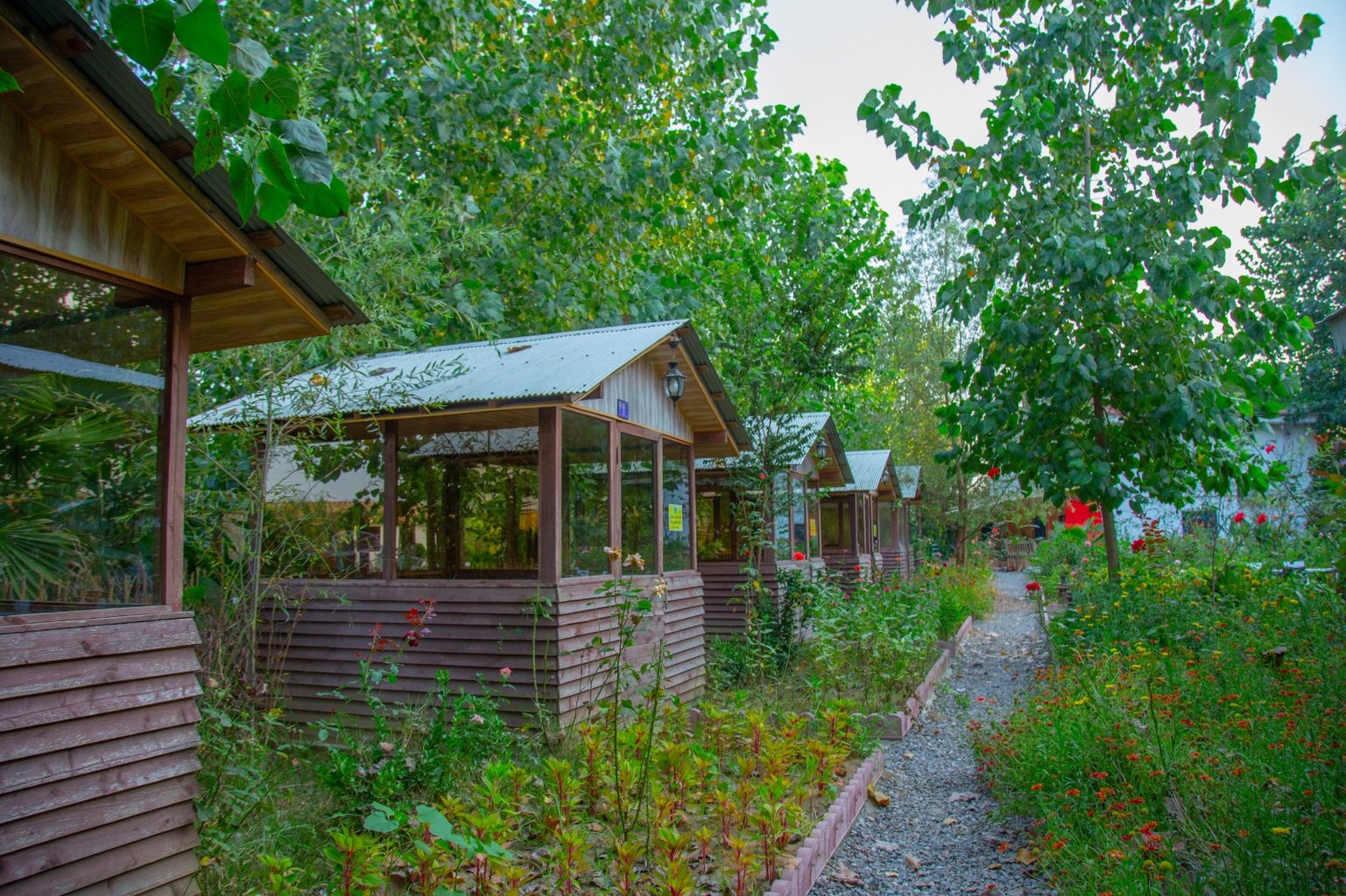 کلبه امپراطور - واحد شیون فومنی