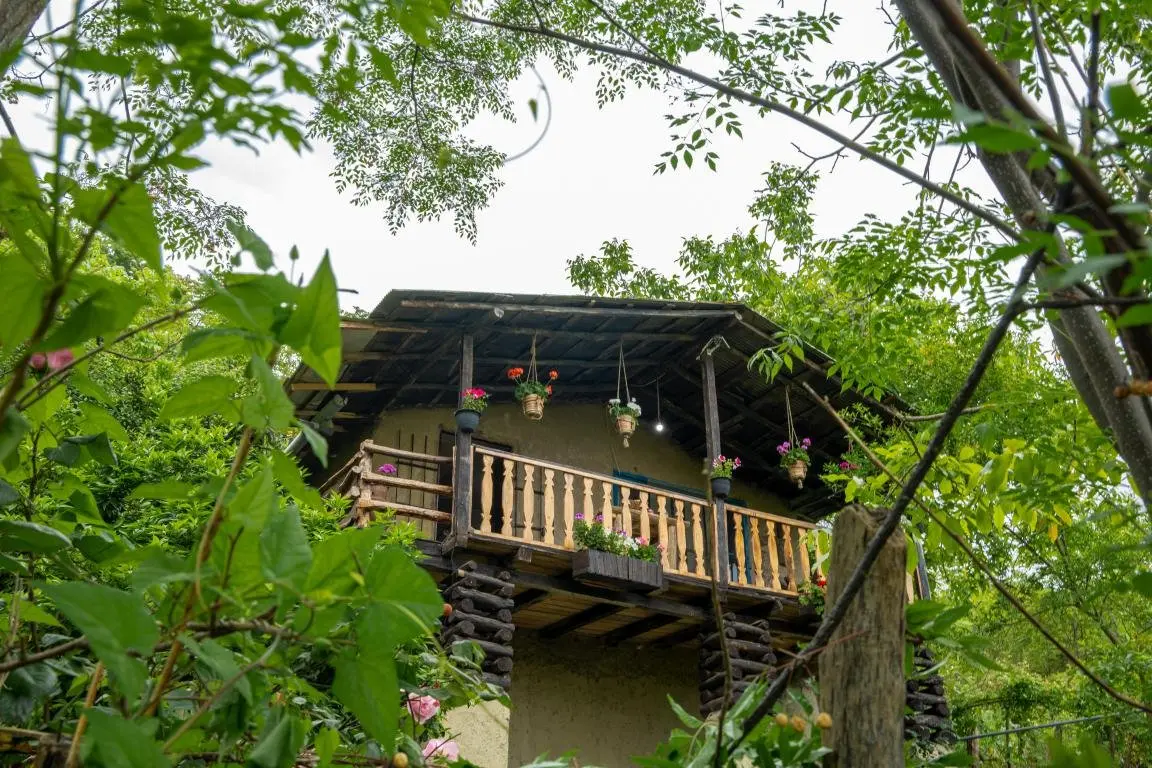 کلبه یک خوابه جنگلی بیژن