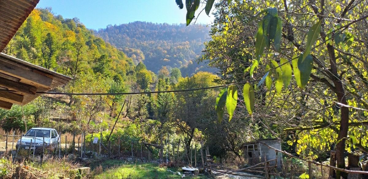 ویلا یک خواب نساء